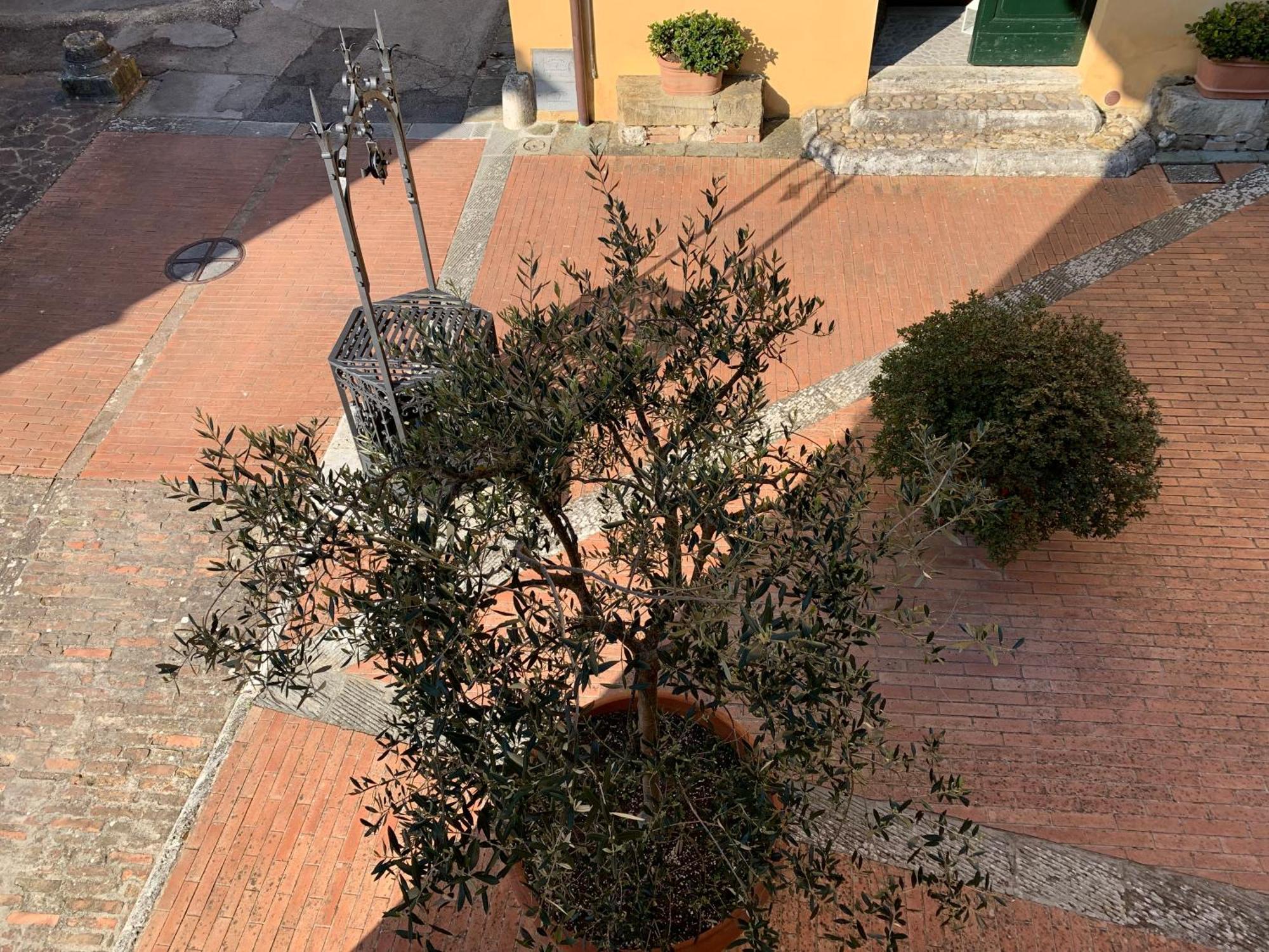 Villa Caprera Siena Værelse billede